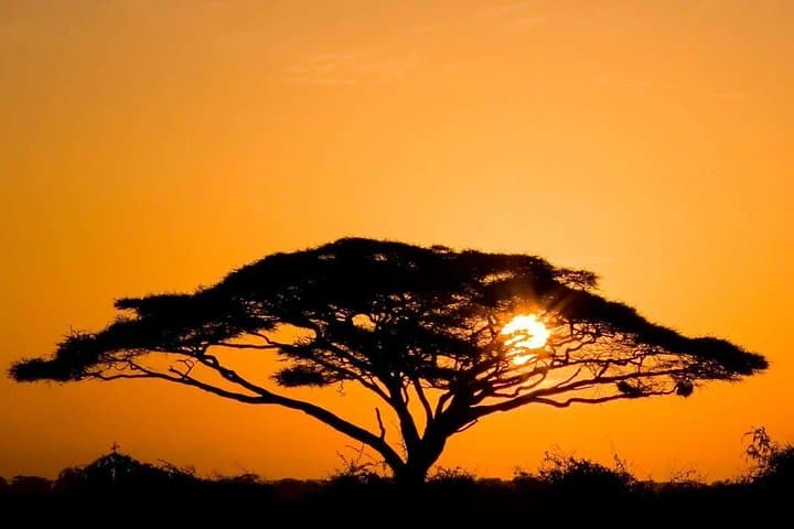 3-Day Amboseli Safari from Nairobi with Kilimanjaro Views