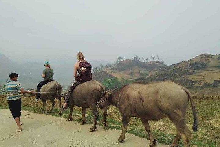 Sapa private: One day of funny Buffalo Ride & Trekking Tour