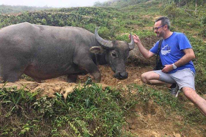Sapa private: One day of funny Buffalo Ride & Trekking Tour