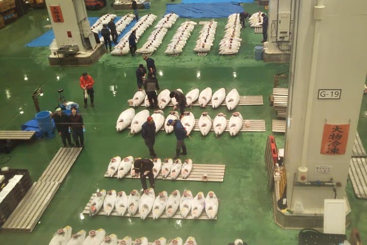 Tuna auction at Toyosu Market with qualified guide and early morning tour of Tsukiji Outer Market