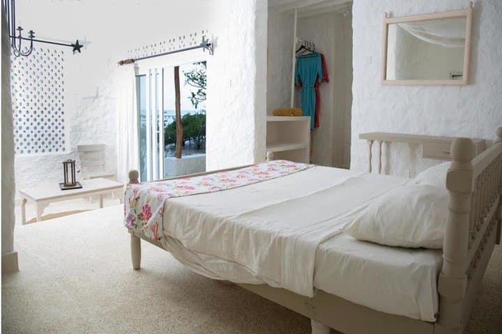 1 Day Wasini Dolphin Tour
