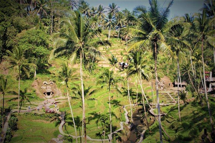 Bali Full Day Tour | Individual Route in Bali | Bali Guide | Free Wi-Fi