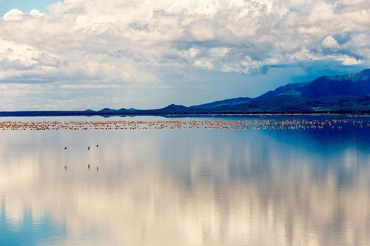 4-day Tanzania Safari
