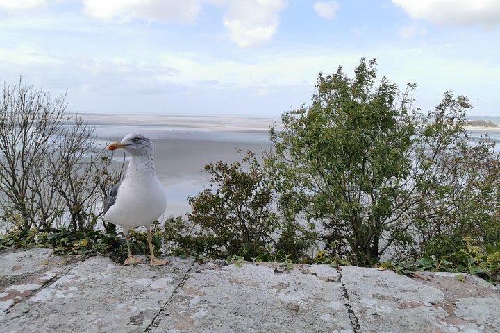 Private Guided Day Tour of Mont St-Michel from Paris