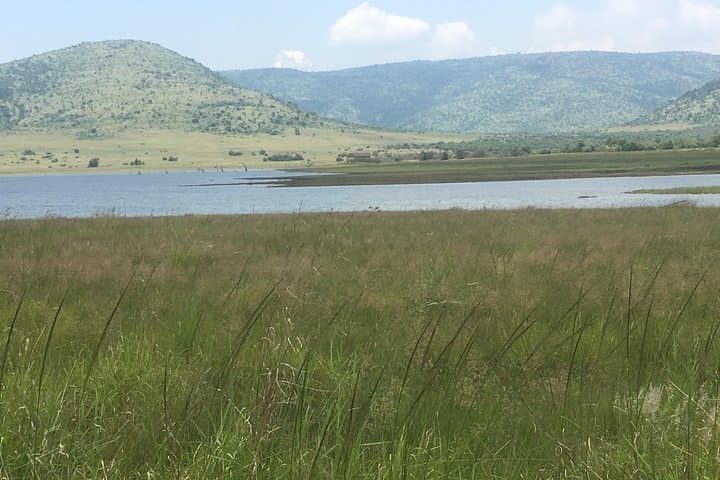 Pilanesberg Safari Day Tour