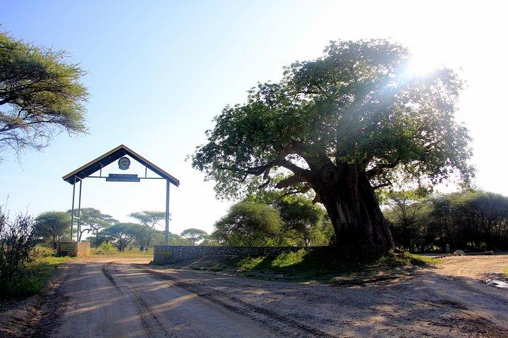 Tarangire National Park