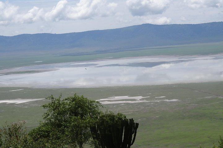 Ngorongoro Crater Day Tour