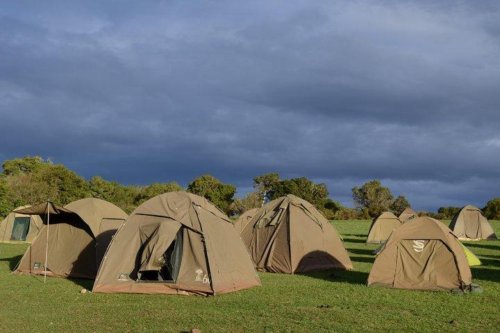 5 Days Tarangire ,Serengeti.Ngorongoro and Lake manyara