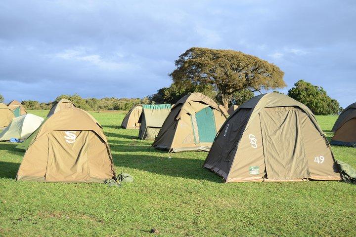 3 Days Serengeti & Ngorongoro Crater group safari