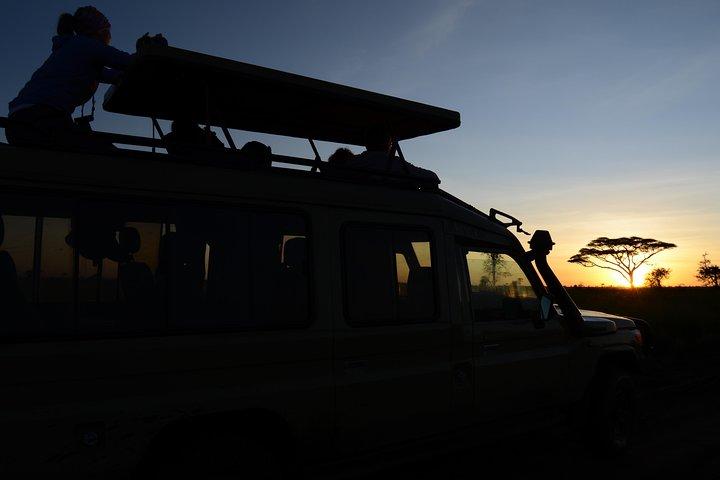 3 Days Serengeti & Ngorongoro Lodge Safari