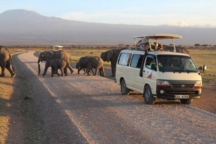 2-Day Amboseli National Park Safari from Nairobi