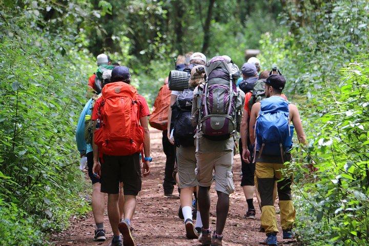 Mount Kilimanjaro Day Hike
