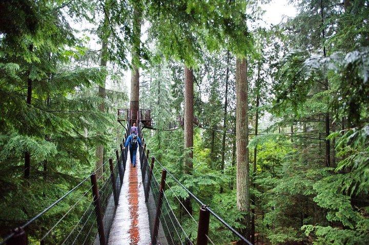 Vancouver Premium Tour: Capilano Bridge + Grouse Mountain Lunch