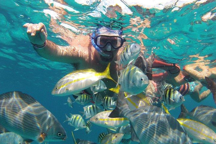 Catamaran Sailing to isla mujeres open bar included