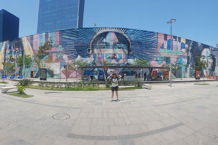 Highlights of Brazilian History and Culture Half-Day Tour