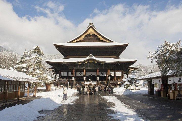 1-Day Winter Tour From Nozawa Onsen: Snow Monkeys, Zenko-ji Temple & Sake