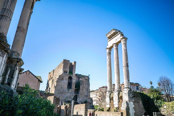 Coliseum, Roman Forums, Trevi Fountain, Navona Square & Pantheon