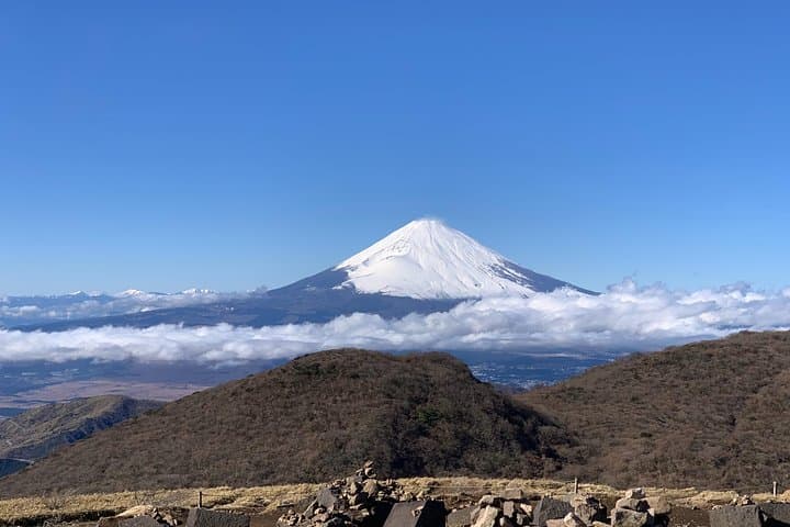Hakone Private One Day Tour From Tokyo: Mt Fuji, Lake Ashi, Hakone National Park