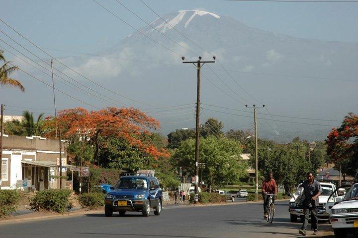 Full-Day Moshi Private Forest Walk and Local Market Tour