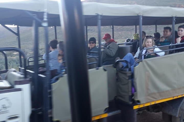 Aquila Wildlife Safari Tour