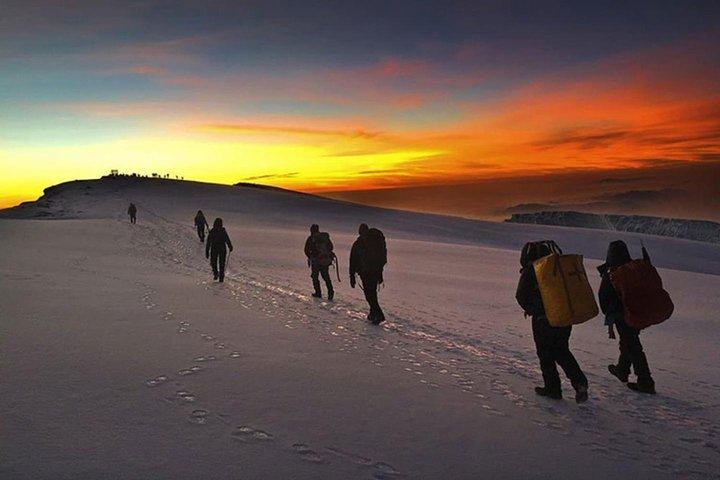 Mt Kilimanjaro 360° Trek with Once-in-a-Lifetime Crater Camping