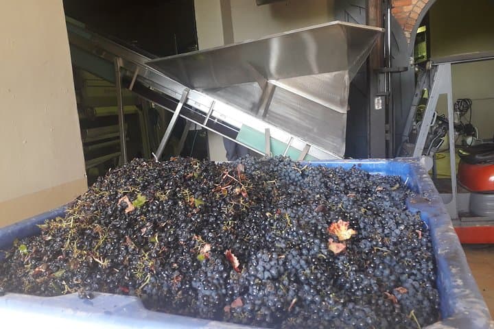 From CapeTown: Stellenbosch Half Day Wine Tour