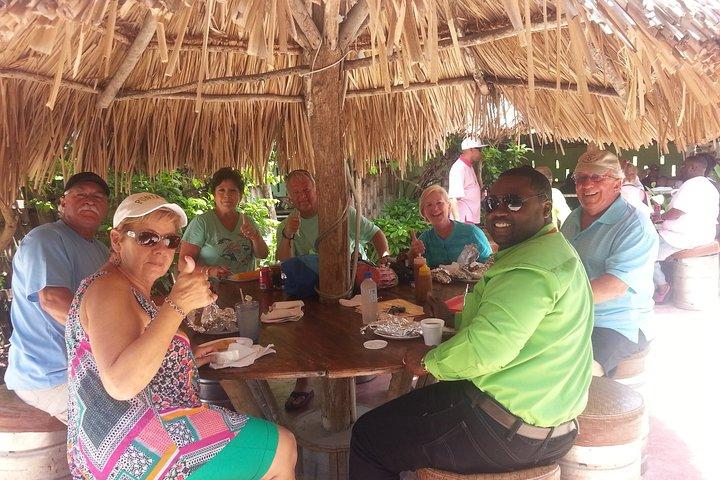 Montego Bay Highlights Tour from Montego Bay