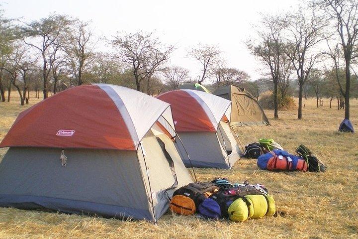4-Day Tanzania Best Camping Safari: Lake Manyara, Serengeti & Ngorongoro Crater