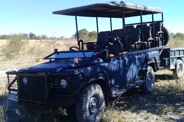 1 Day Moremi Game Drive Safari, guided