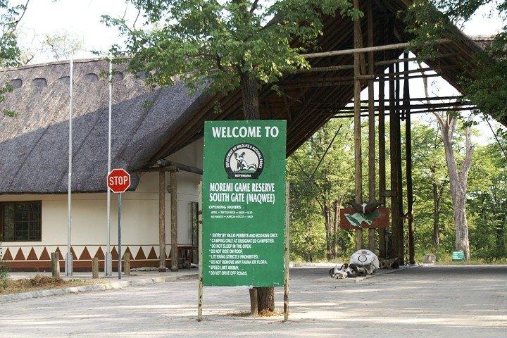 1 Day Moremi Game Drive Safari, guided