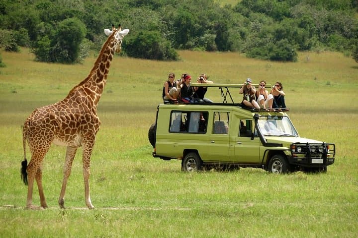 14-Days Kenya and Tanzania Big 5 Wildlife Safari from Nairobi