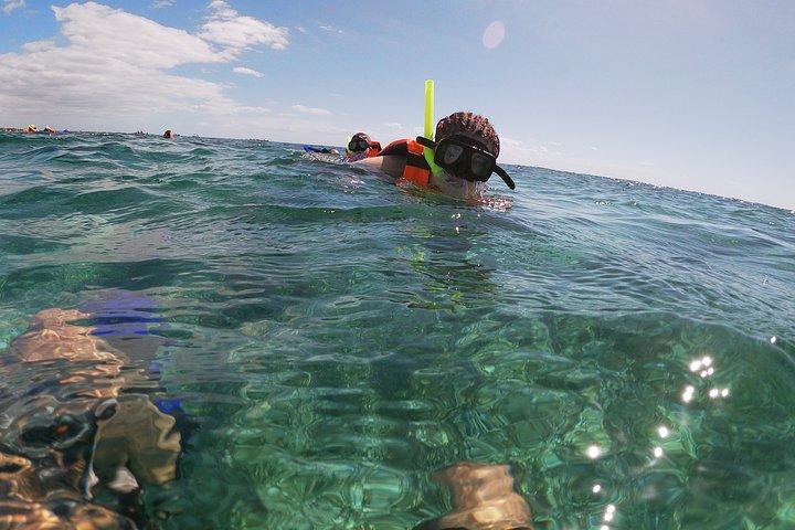 Reef Snorkeling with ATV, Zipline, Cenote that includes lunch and transportation