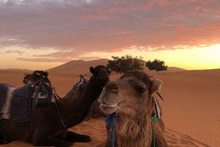 Combined Tour: Atlas Mountains Trek and Sahara Desert 5 days Tour