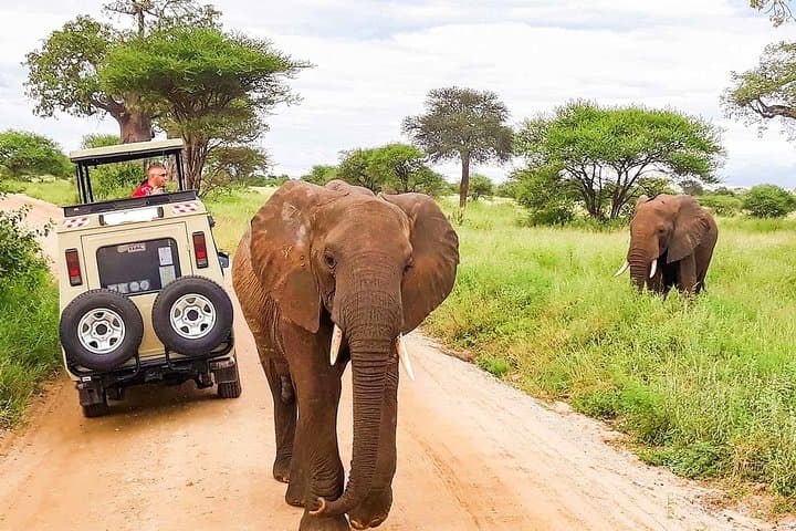 14 Days Private Safari in Kenya and Tanzania from Nairobi