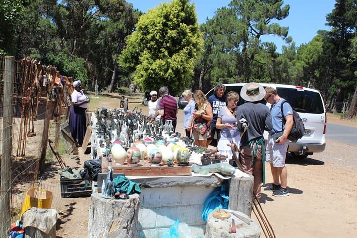 Private Day Tour to Cape of Good Hope Penguins Inc Entry Tickets from Cape Town