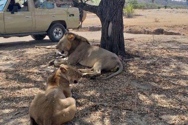 2 Days safari to Nyerere Nationals parks from Zanzibar