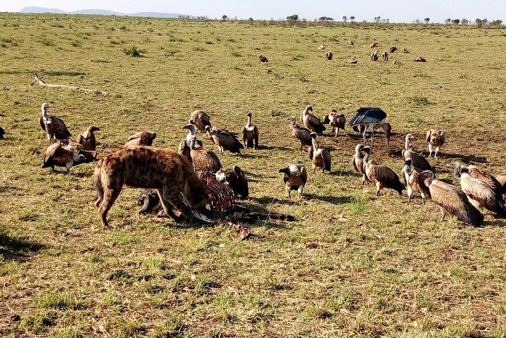 2-Day Private Safari Tour of Lake Nakuru National Park