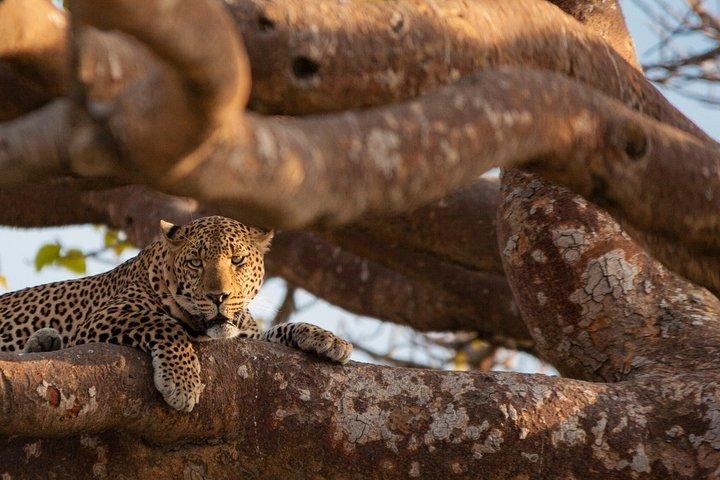 2-Day Private Safari Tour of Lake Nakuru National Park