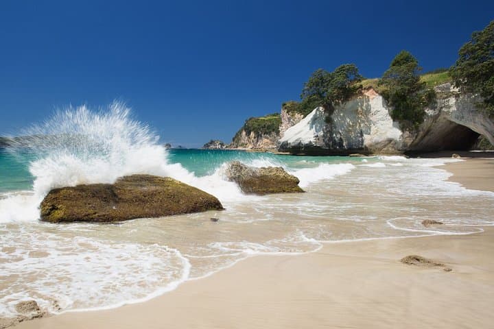 Coromandel Peninsula Discovery - Private Tour From Auckland