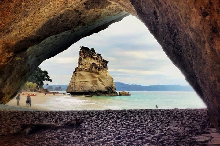 Coromandel Peninsula Discovery - Private Tour From Auckland