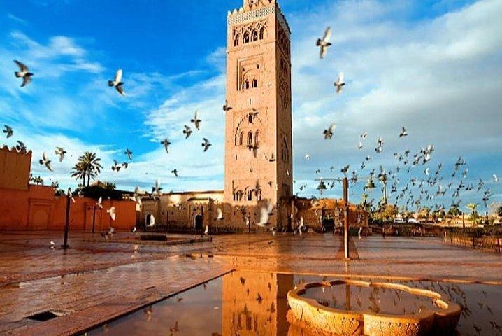 Day Trips from Agadir to Marrakech with Amazing guide