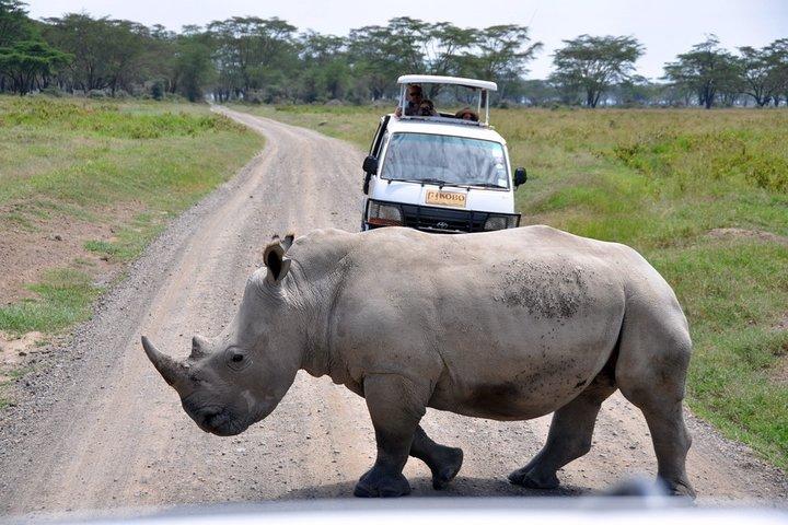 10 Days Northern & Southern Kenya Savannah Private Safari
