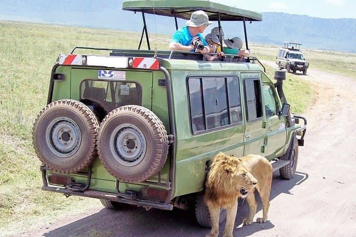 10 Days Northern & Southern Kenya Savannah Private Safari