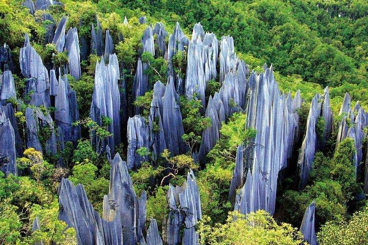 Private Day Tour to Stone Forest, Dianchi Lake and West Hill from Kunming