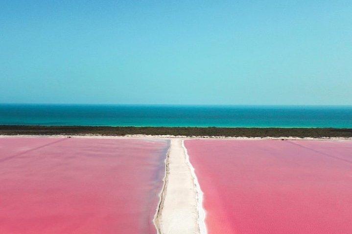 Las Coloradas Tour from Cancun and Playa del Carmen