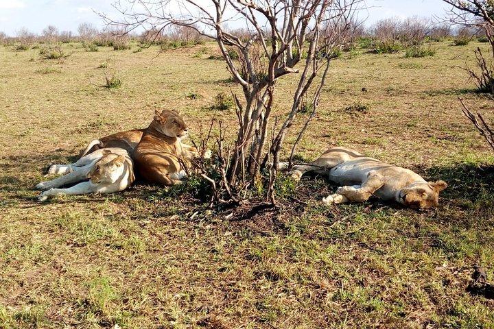 2 Days Private Safari in Samburu National Park from Nairobi