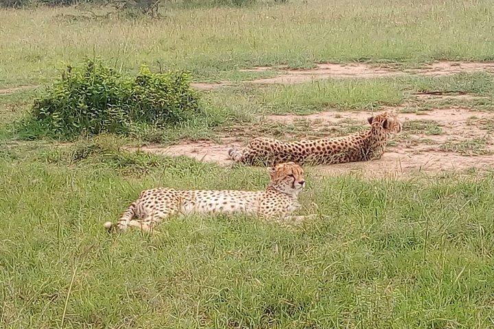 2 Days Private Safari in Samburu National Park from Nairobi