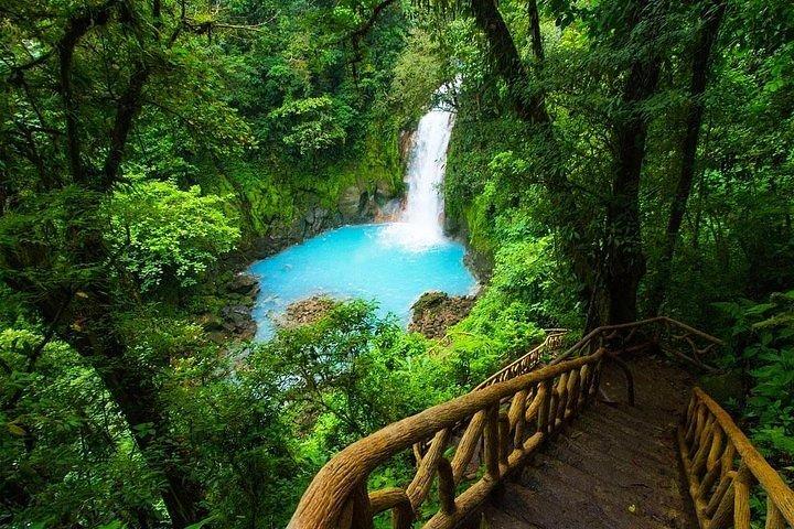 Río Celeste Waterfall and Sloth Watching Tour From Guanacaste