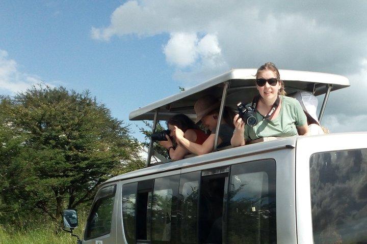 4-Day Tsavo East West and Amboseli National Park from Mombasa