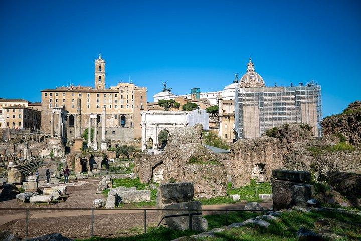Guided Tour to Colosseum, Roman Forum and Palatine Hill